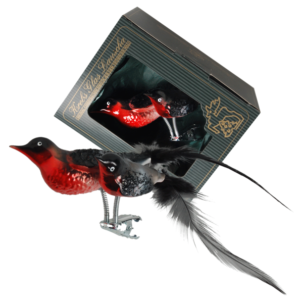 Glasvogel Set "Dompfaff"