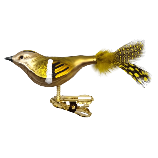 Wintergoldhähnchen mit Perlhuhnfedern