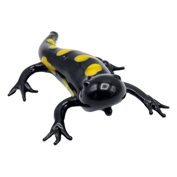 Feuersalamander