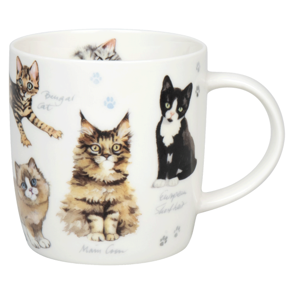 Natures Diversity-Katzen
